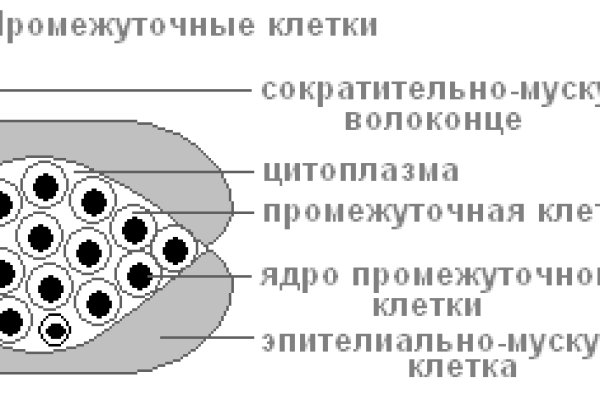 Войти в кракен