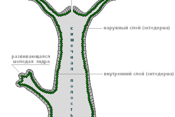 Ссылка адрес на кракен