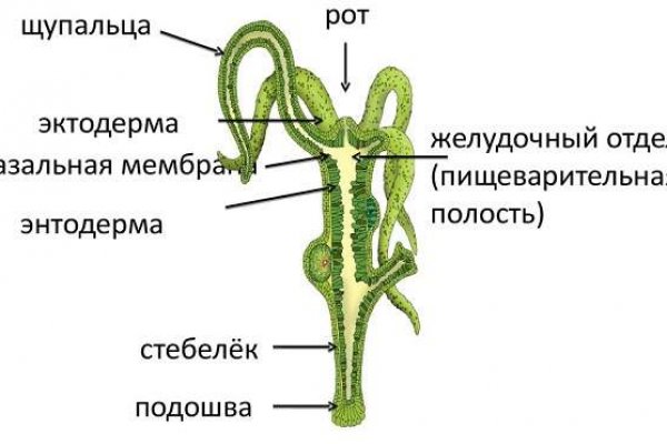 Кракен сайт даркнет зеркало